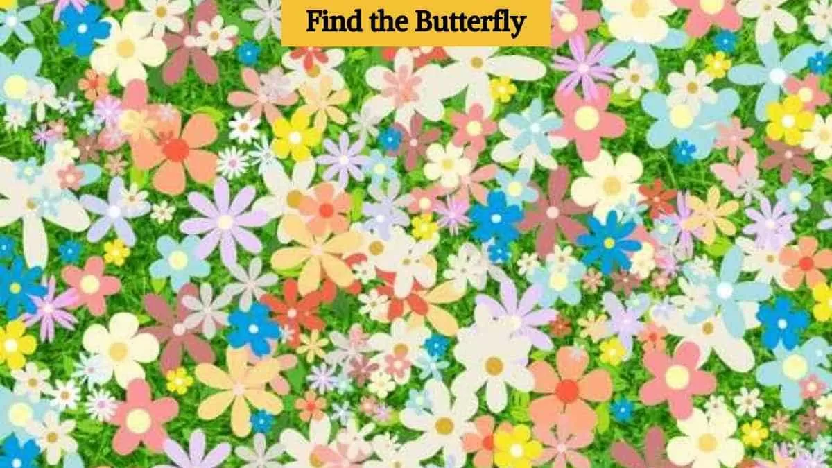 Find hidden butterfly