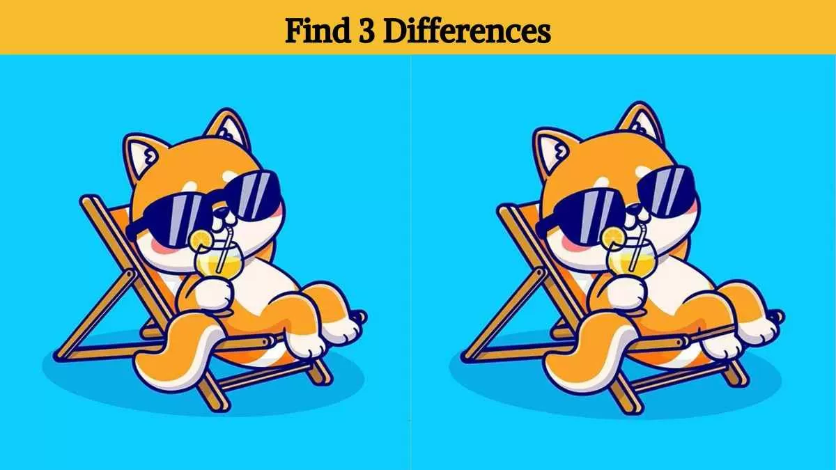 Find 3 differences in 18 seconds