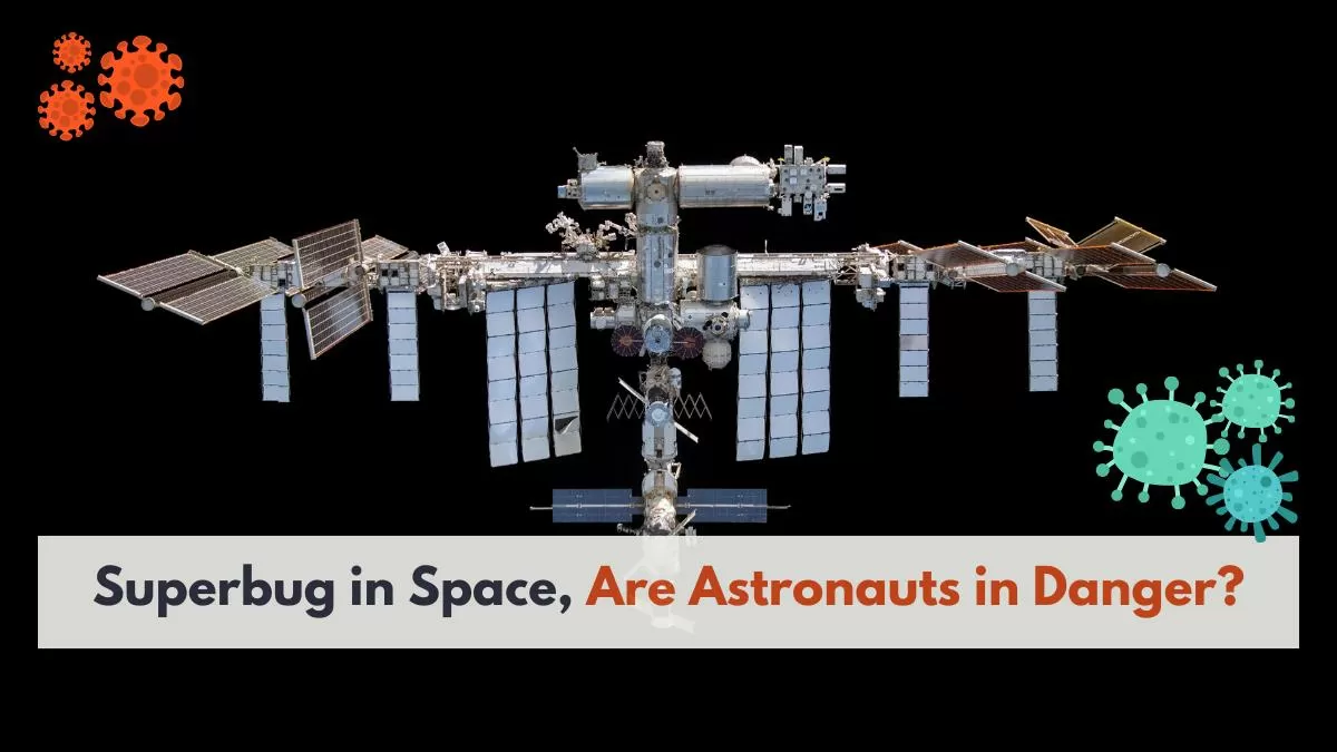 Know what is Superbug and how did it reach in Space