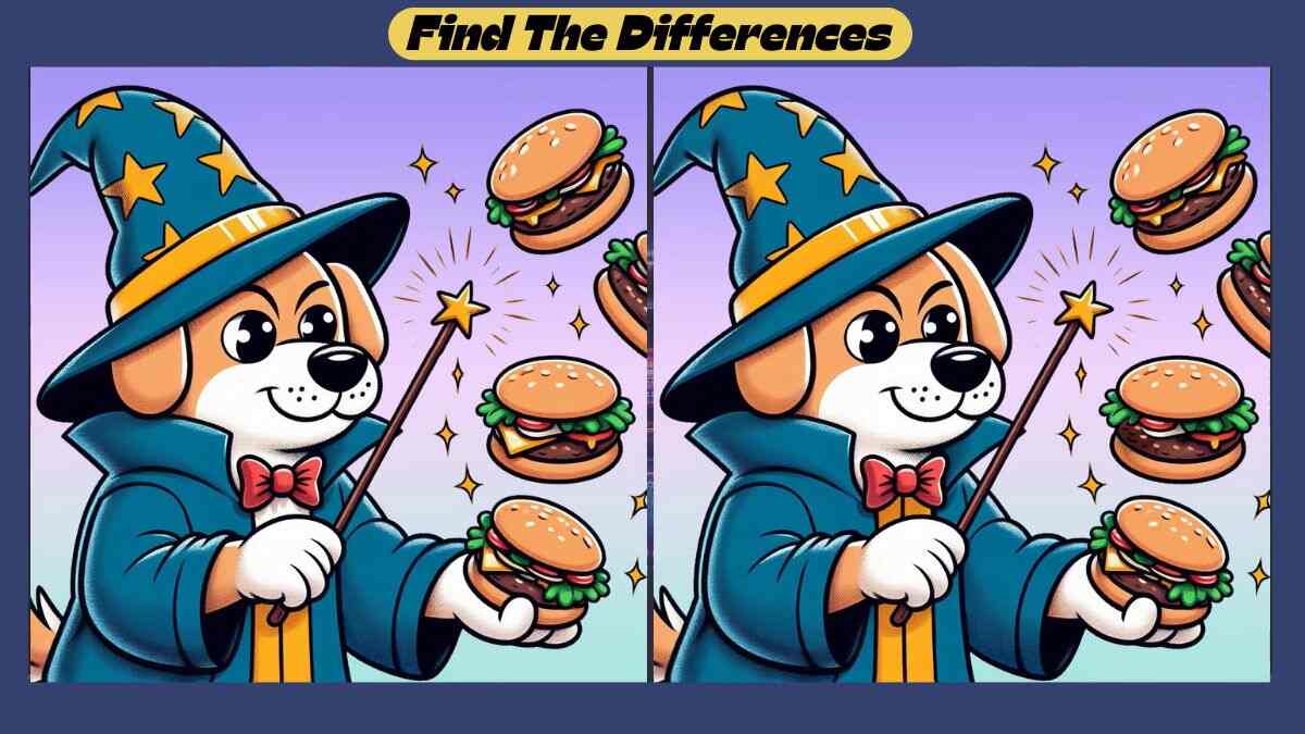 Find 3 Differences in 43 Seconds in This Dog Magic Scene