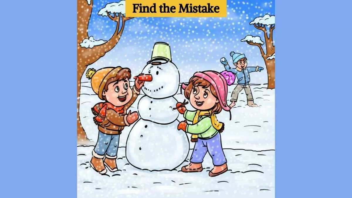 Find the mistake winter scene