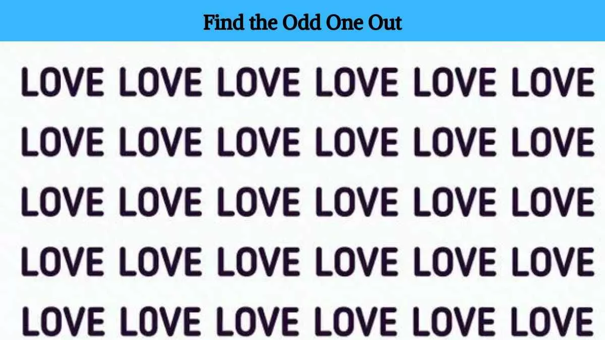 Find the odd one out