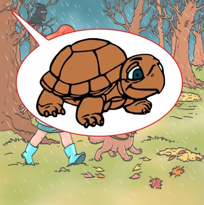 what is wrong with this picture with answers