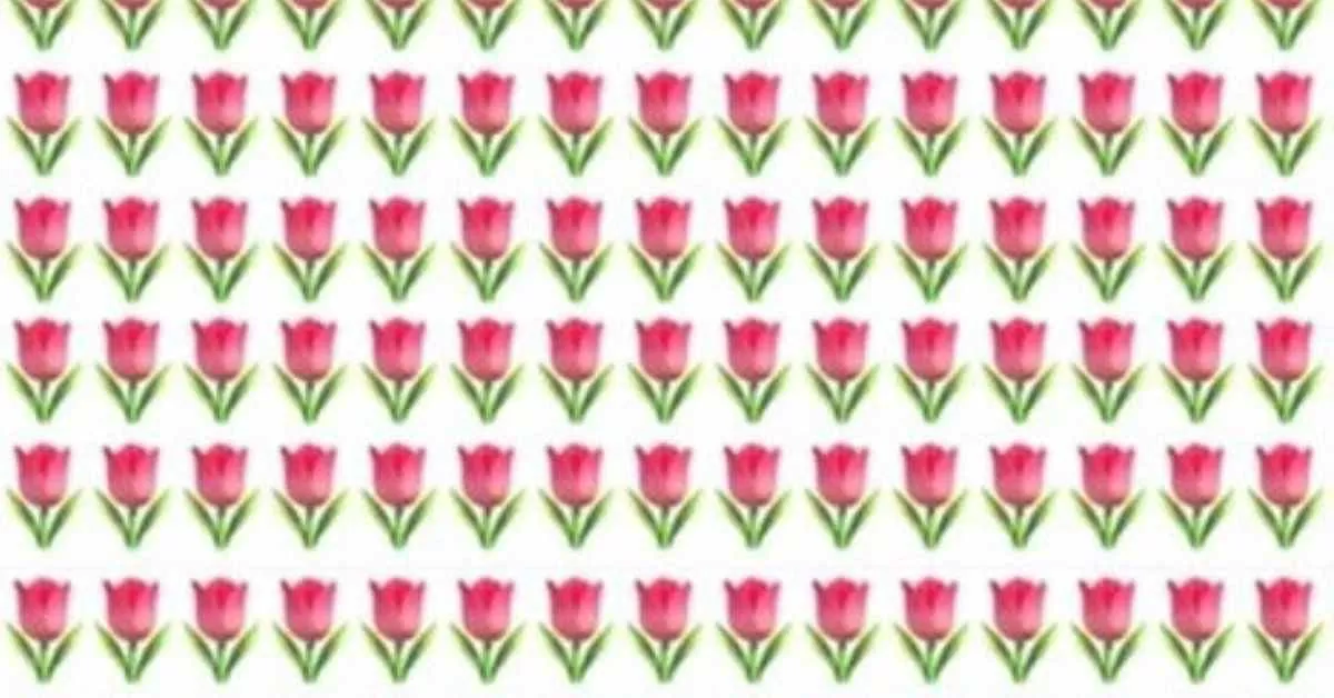Find the Different Flower
