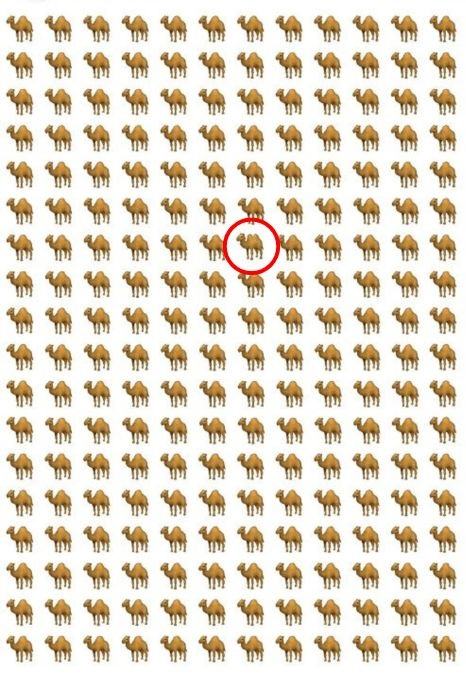 picture puzzle find odd one out