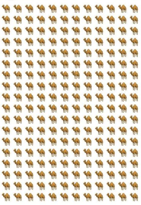 picture puzzle find odd one out