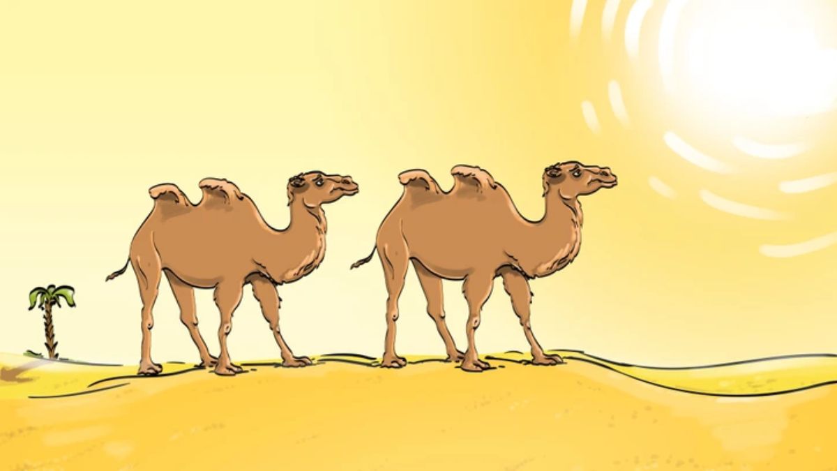 Brain Teaser: Only High IQ Can Tell What’s Wrong With The Desert Picture In 8 Seconds!