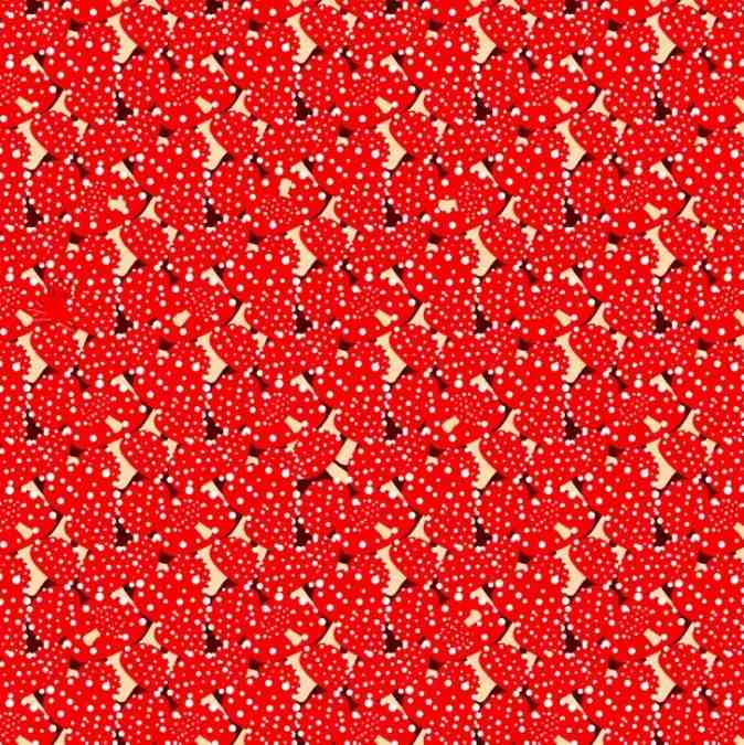 hidden animals optical illusion