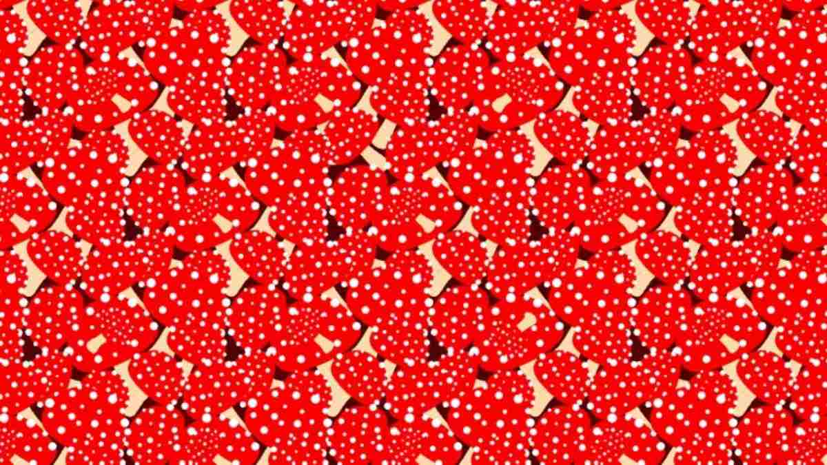 Are You a Visual Genius? Find the Octopus Hidden Among Mushrooms in 8 Seconds!