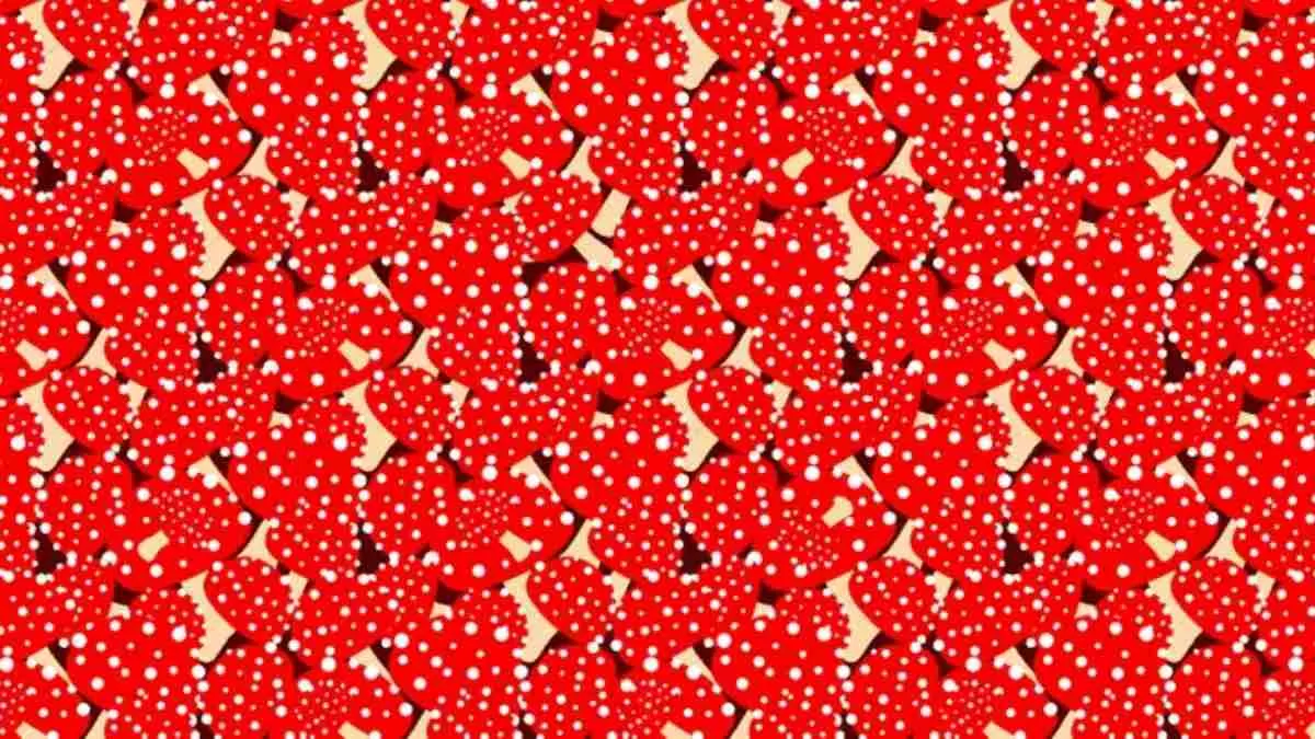 Can You Spot The Octopus In This Optical Illusion?