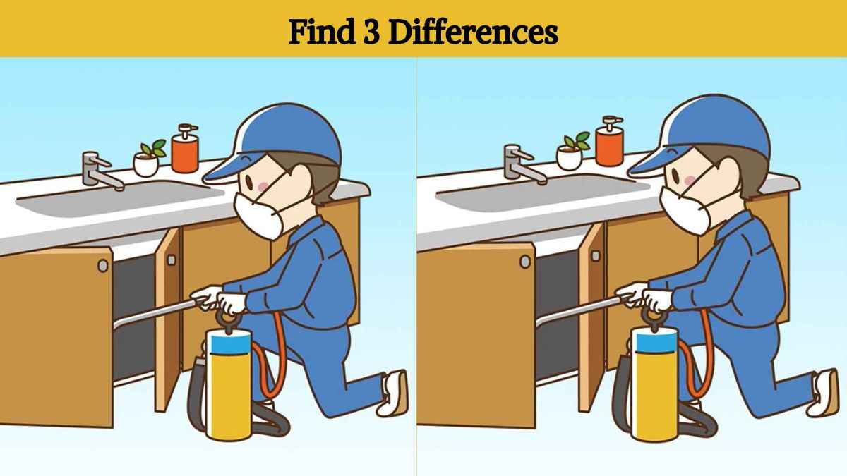 Only hawk eyes can find 3 differences between the pest control guy pictures in 11 seconds!