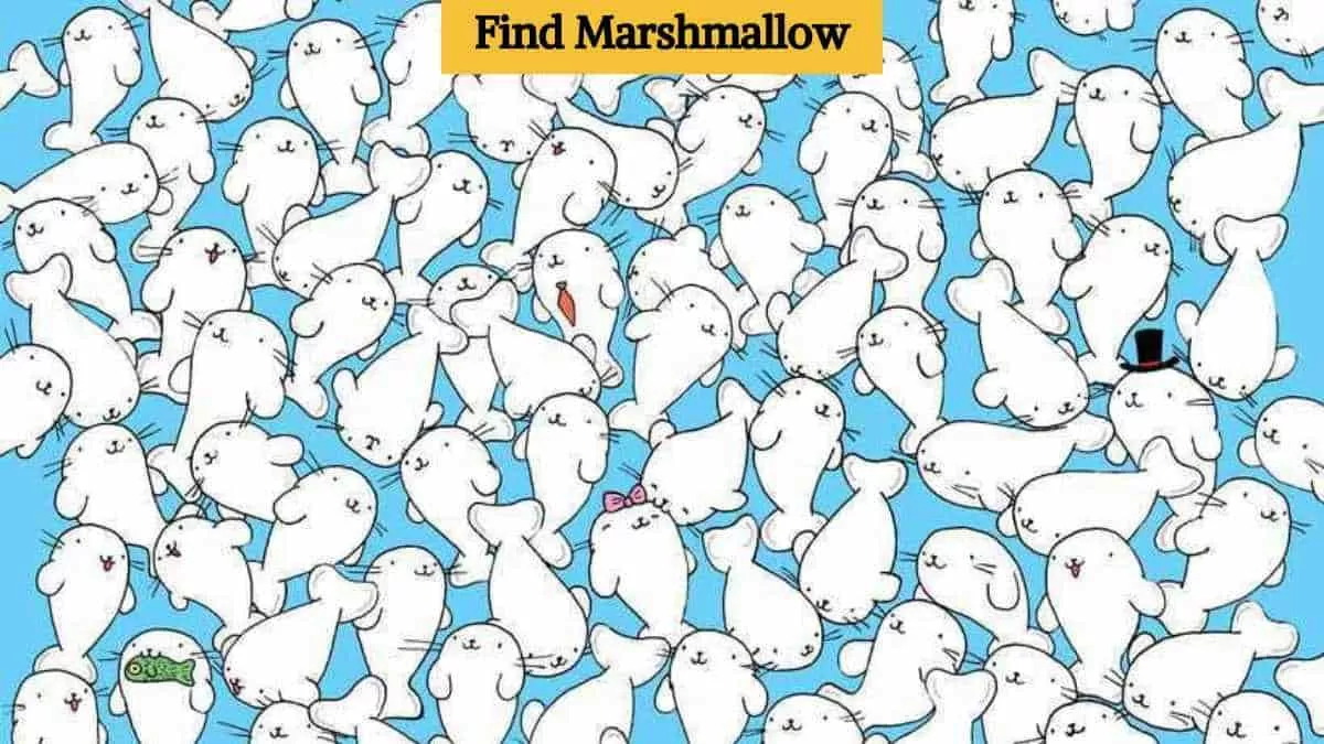Find marshmallow
