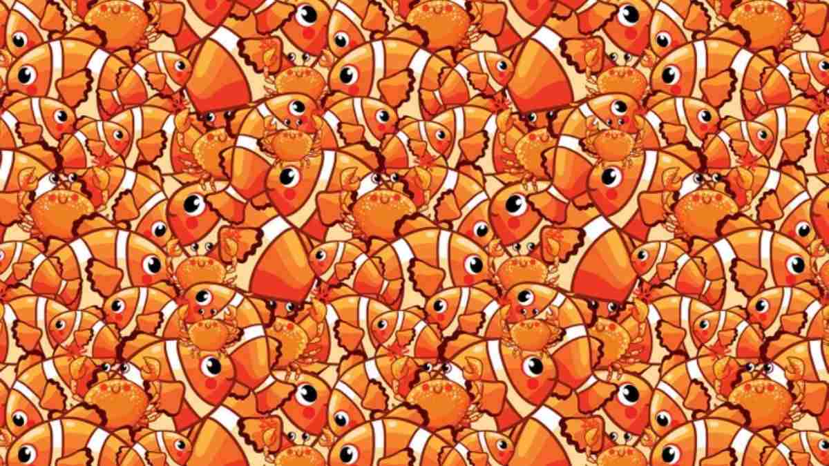 Picture Puzzle IQ Test: Can You Spot The Starfish Hidden Among Fish And Crabs in 8 Seconds?