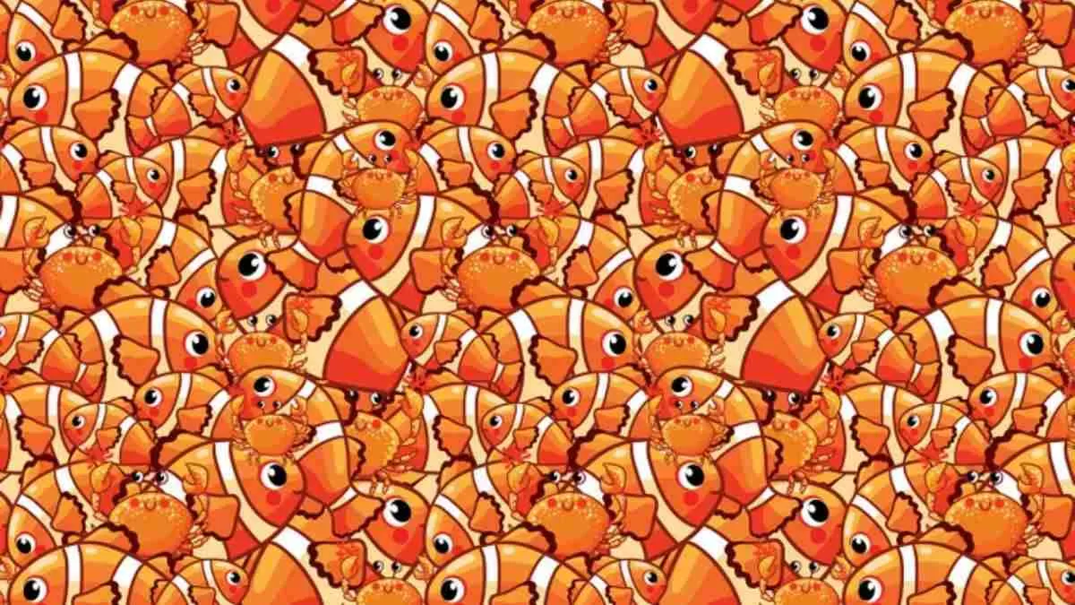 Can You Find The Starfish In This Picture?