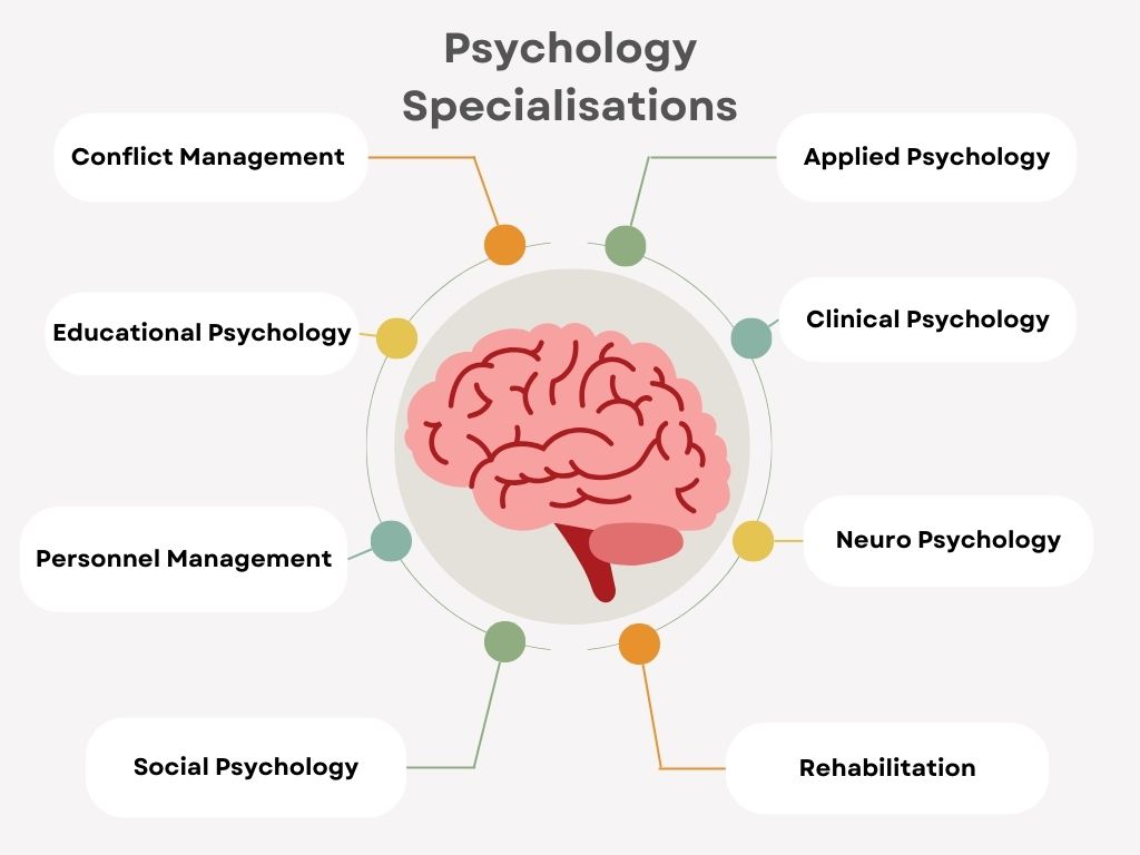 Top B.Sc Psychology Colleges in India 2024: Specialisations, Admission ...