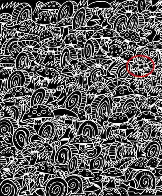 hidden objects optical illusions iq test