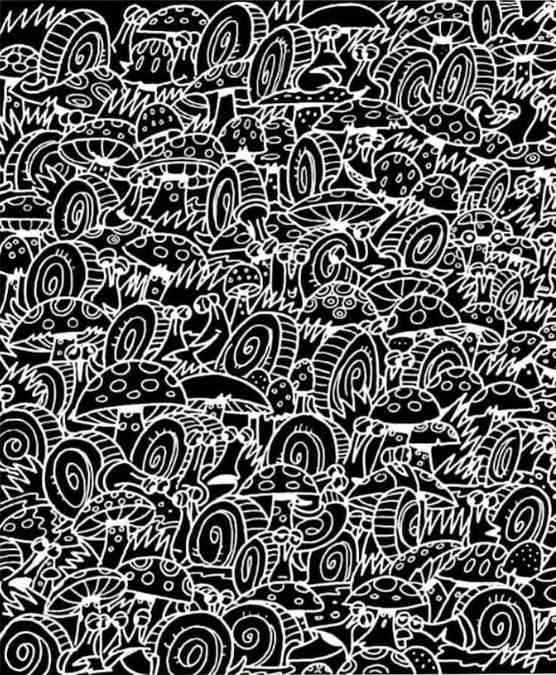 hidden objects optical illusions iq test