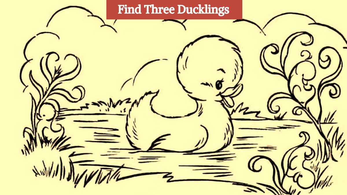 Only 1% with high IQ can find three ducklings in the picture in 7 seconds!