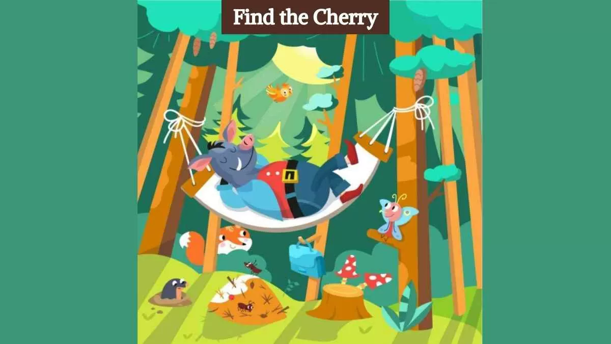 Find the cherry in the forest