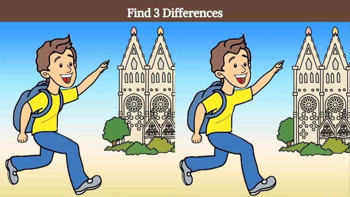 Find 3 differences in 12 seconds