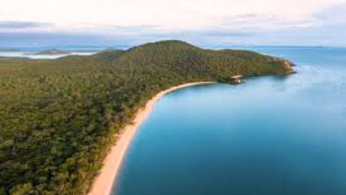 Cape York Makes it to World Heritage "Tentative" List. Here's Everything to Know