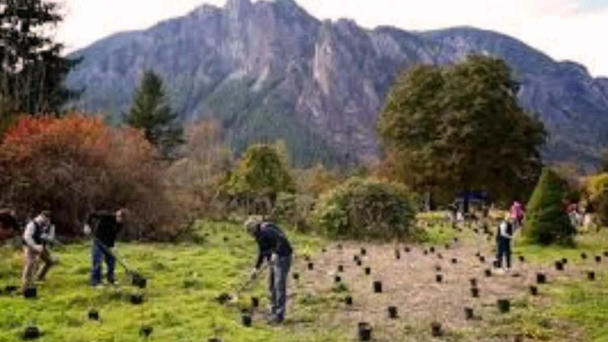 Nature Restoration Plan: What Does the European Union's New Plan Entail?