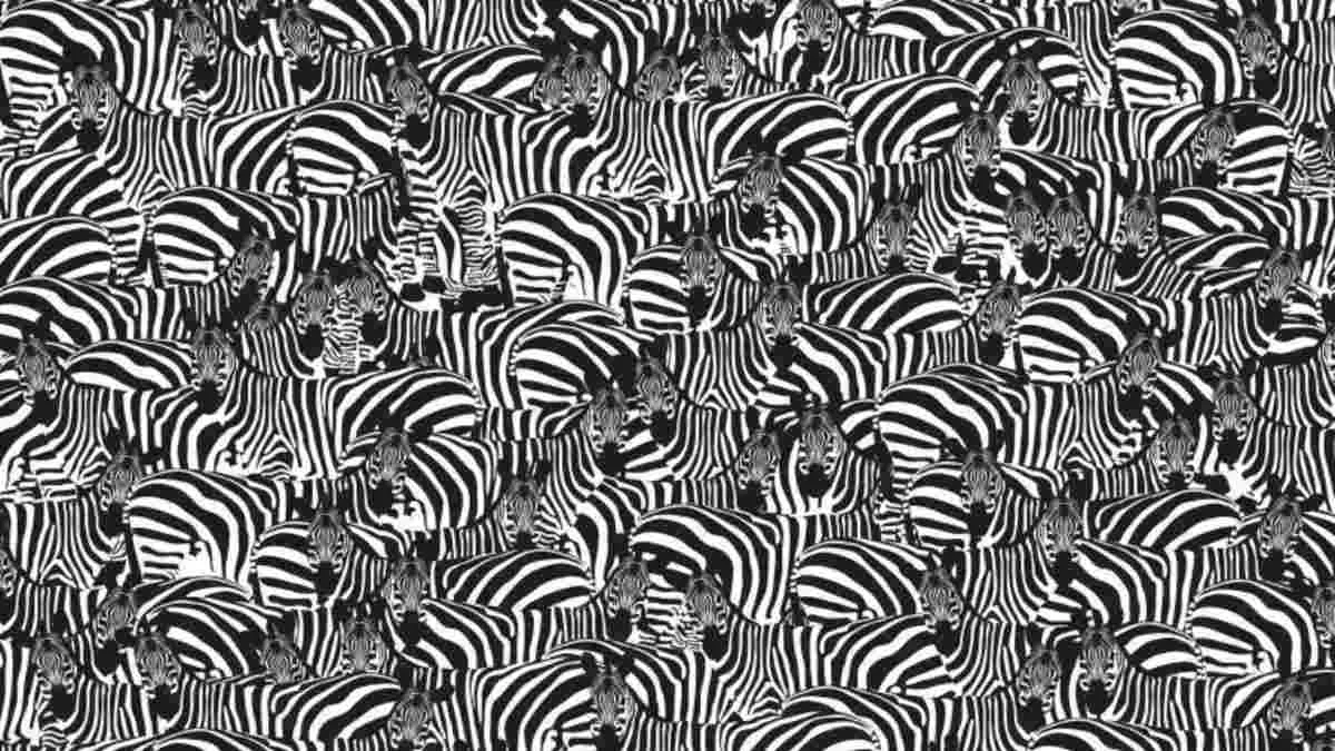 Spot the piano.