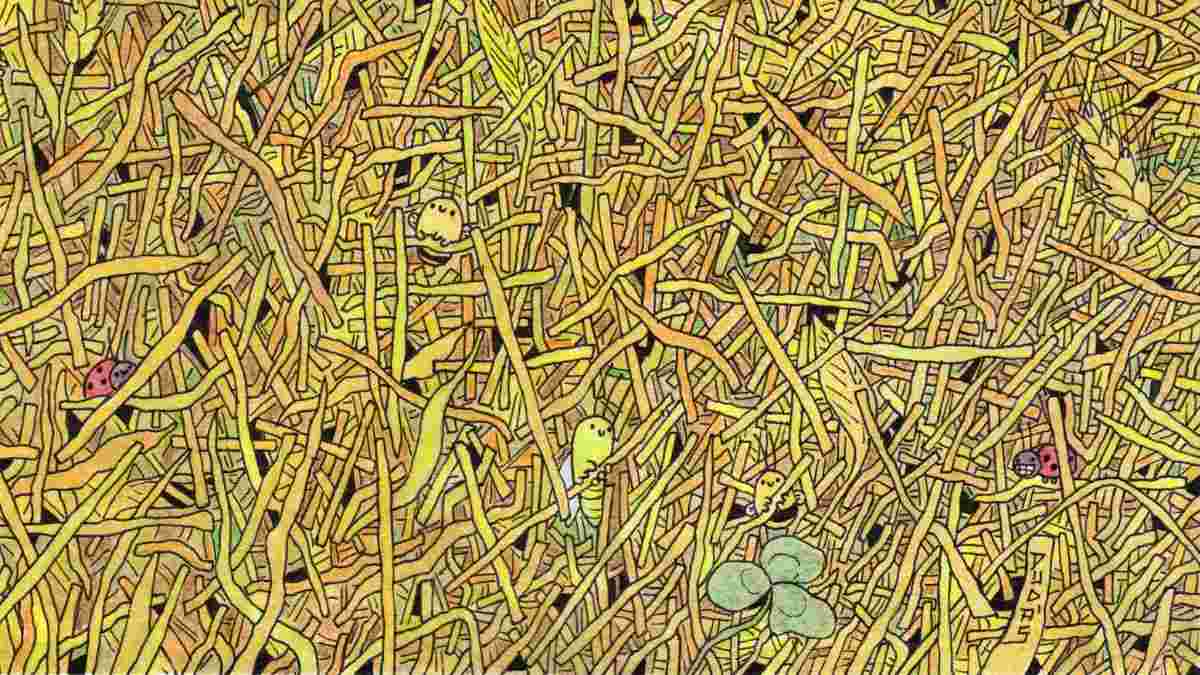 Picture Puzzle IQ Test: How Observant Are You? Spot the Needle Hidden In The Haystack In 8 Seconds!