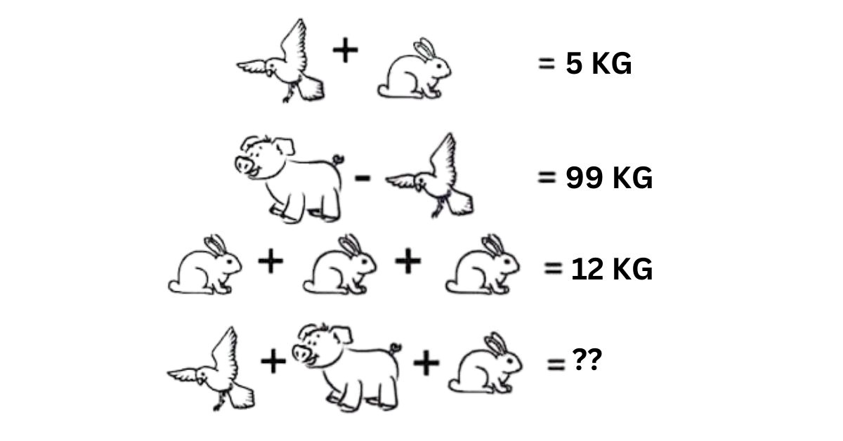 Find the Animal Weights: A Fun Brain Teaser That'll Test Your Logic in 25 Seconds 