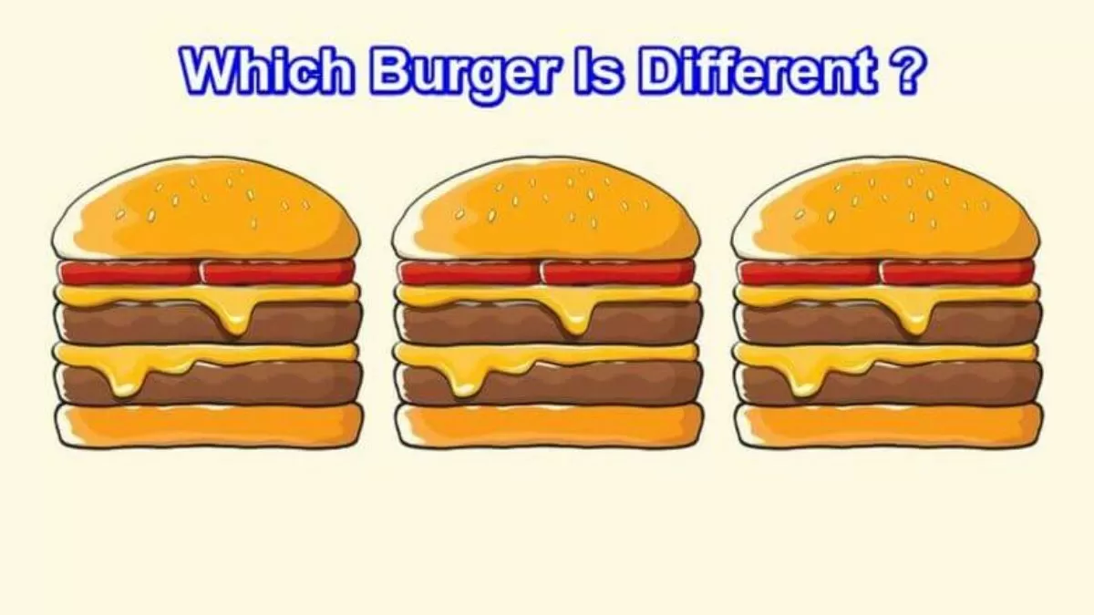 Which Burger Is Different?