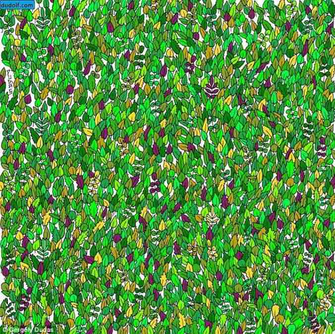 find hidden animals picture puzzles iq test