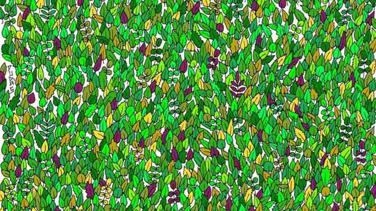 Picture Puzzle IQ Test: Can You Find The Frog Hidden Among Leaves In 8 Seconds?