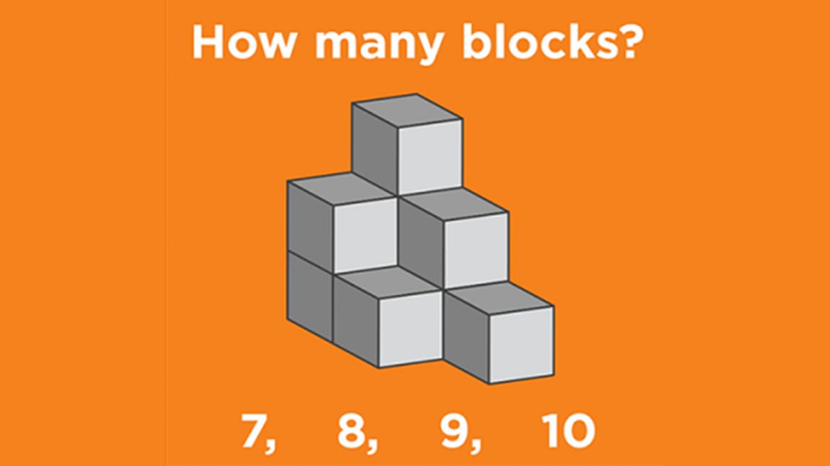 Brain Teaser: How Intelligent Are You? Can You Tell How Many Blocks Are ...