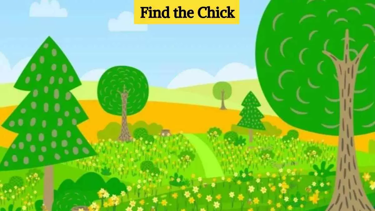 Find the chick