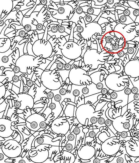 optical illusion iq test find hidden objects