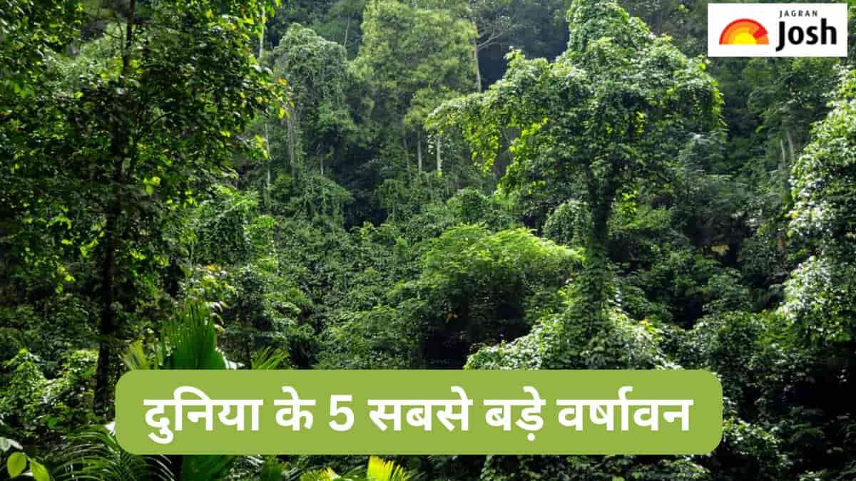 दुनिया के 5 सबसे बड़े वर्षावन, यहां पढ़ें लिस्ट 