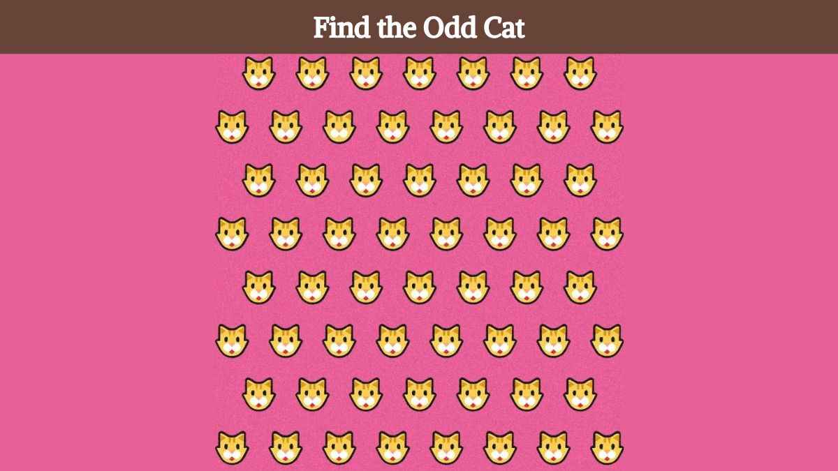 You are a sharp-eyed genius if you can find the odd cat in 4 seconds!