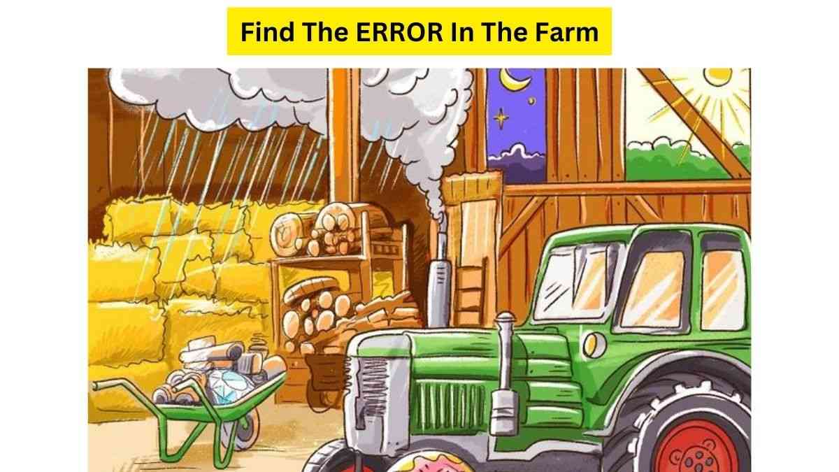  Use Your Supervision To Find All The Errors Hidden In The Farm Within 7 Seconds? Try Your Luck!