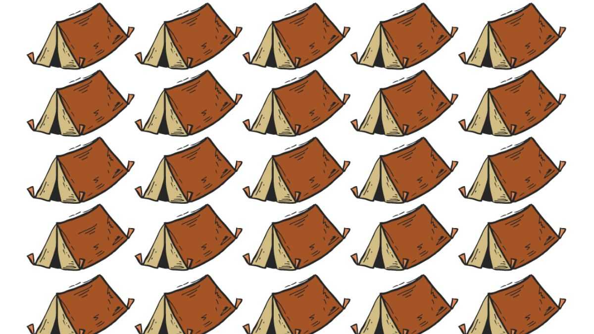 Picture Puzzle IQ Test: You Are Highly Attentive If You Can You Spot The Different Tent In 8 Seconds?
