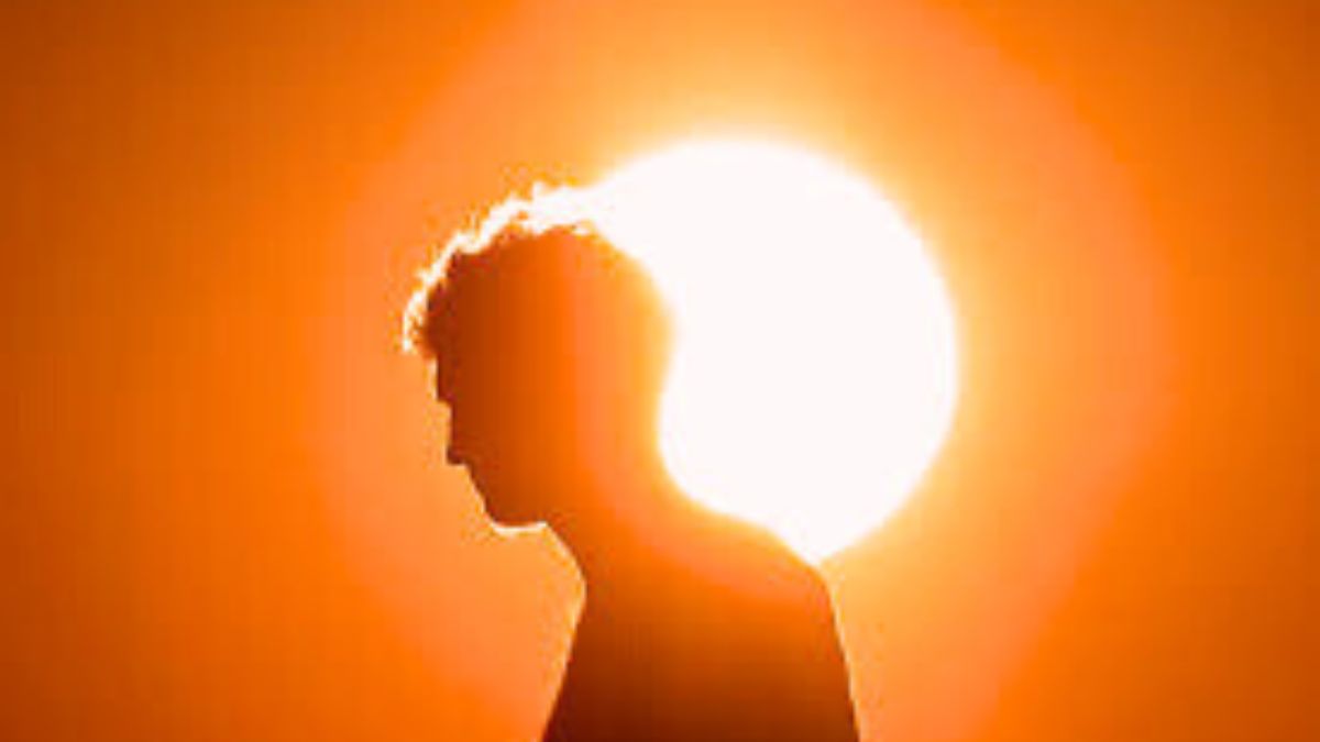 Heatstroke deaths in India: Which states report the highest number of heatstroke deaths?