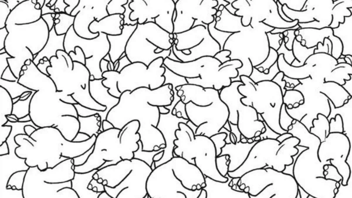 Can You Spot The Whale Among Elephants In This Optical Illusion?