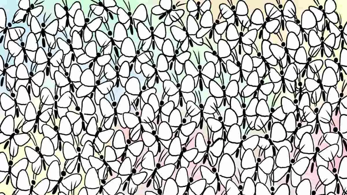 Can You Spot The Ant Among Butterflies In This Optical Illusion?
