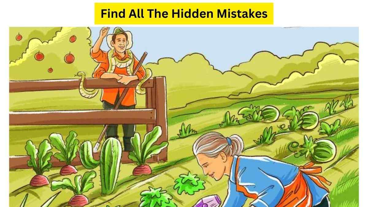 Too Many Mistakes! Can You Spot All The Errors On This Farm Picture Within 11 Seconds? Hurry Up!