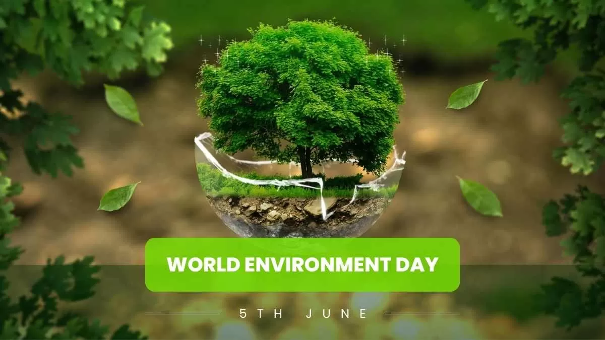 Fun Facts About Environment 