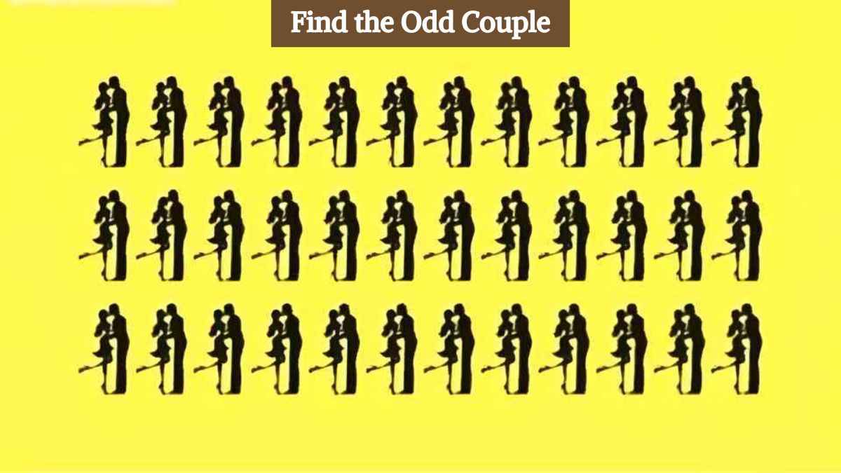 Optical Illusion: Find the odd couple in the picture in 7 seconds!