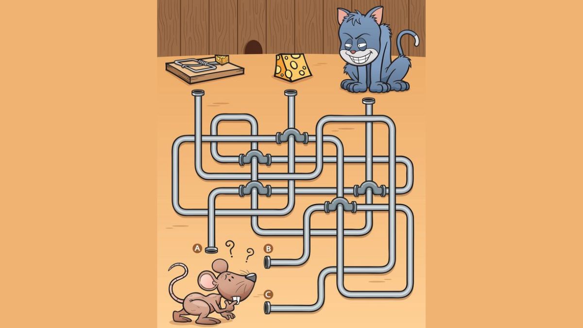 Brain Teaser Maze Puzzle: Which Path Should The Mouse Choose? Answer In 10 Seconds!