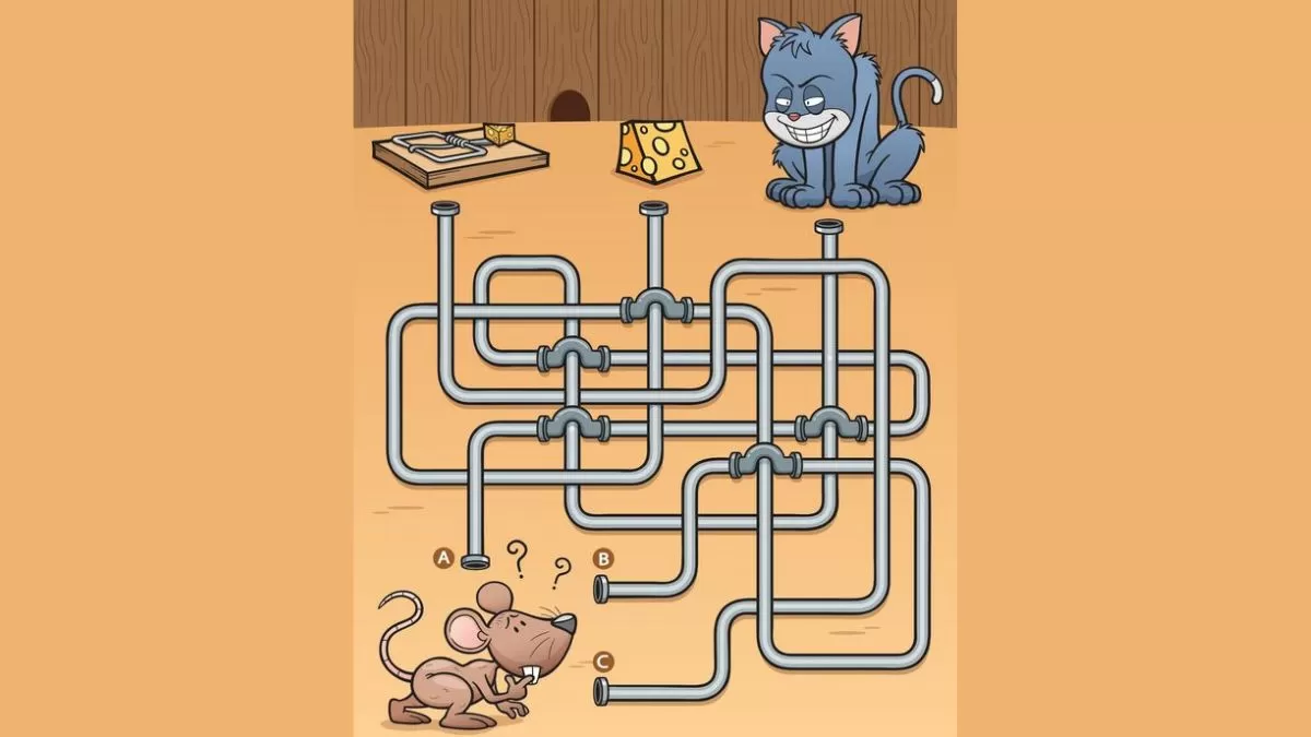 Brain Teaser Maze Puzzle: Which Path Should The Mouse Choose? Answer In 10  Seconds!