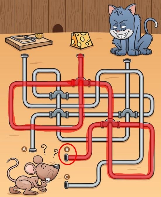 brain teaser maze puzzles with answers