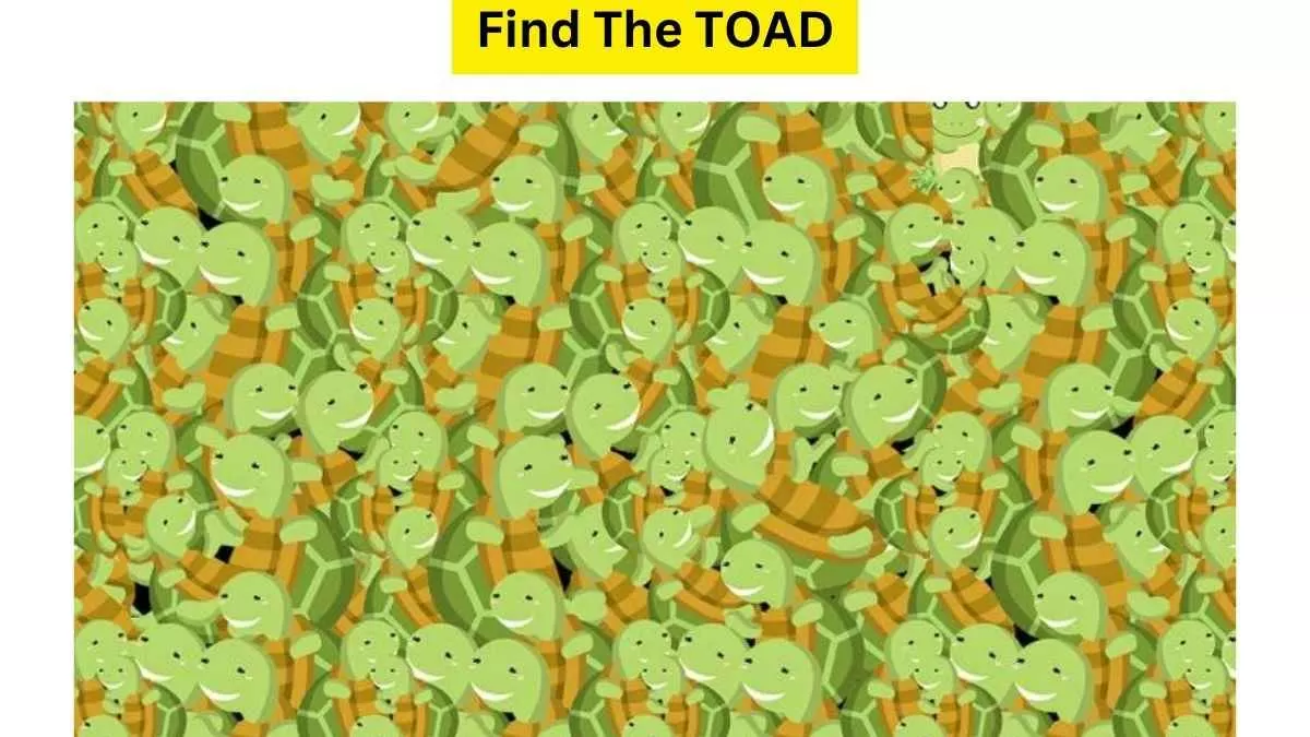 Spot The Toad Among Turtles