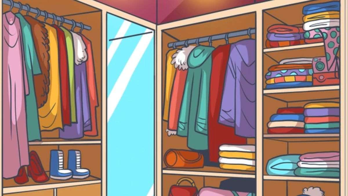 Optical Illusion Vision Test: How Observant Are You? Spot A Pink Camera In This Wardrobe In 8 Seconds!
